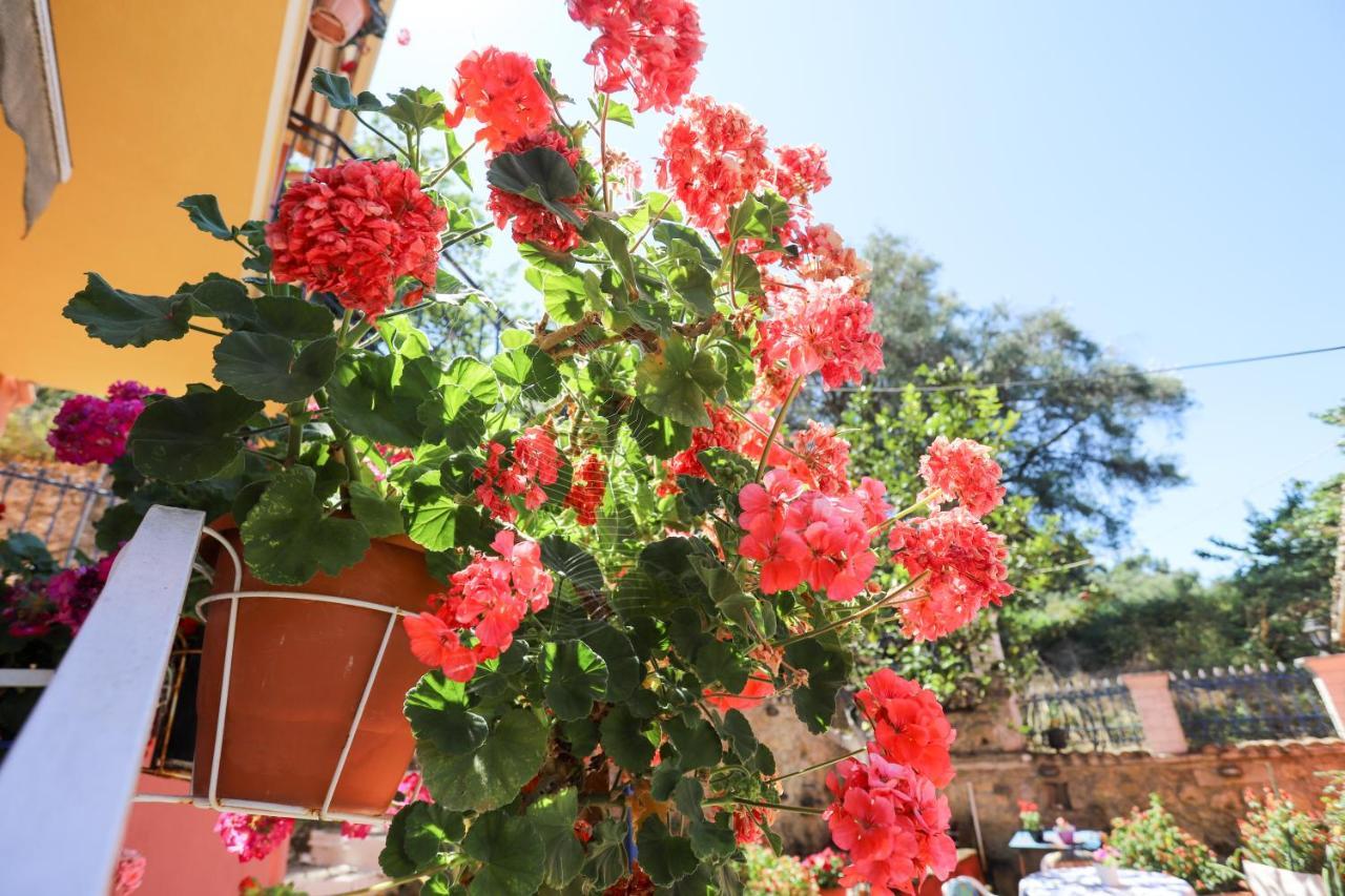 Alexis & Loula Village House Arkadades Εξωτερικό φωτογραφία