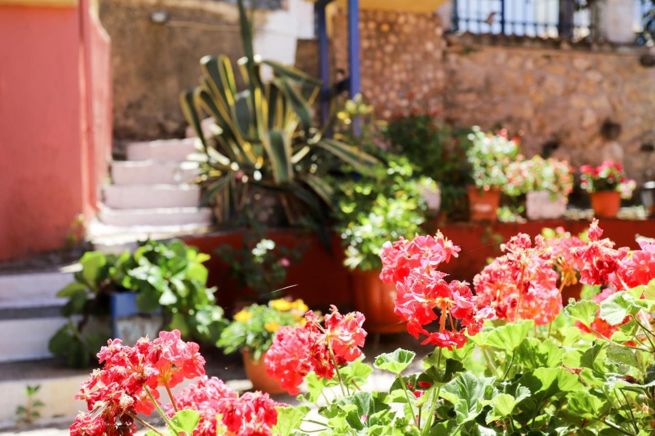 Alexis & Loula Village House Arkadades Εξωτερικό φωτογραφία