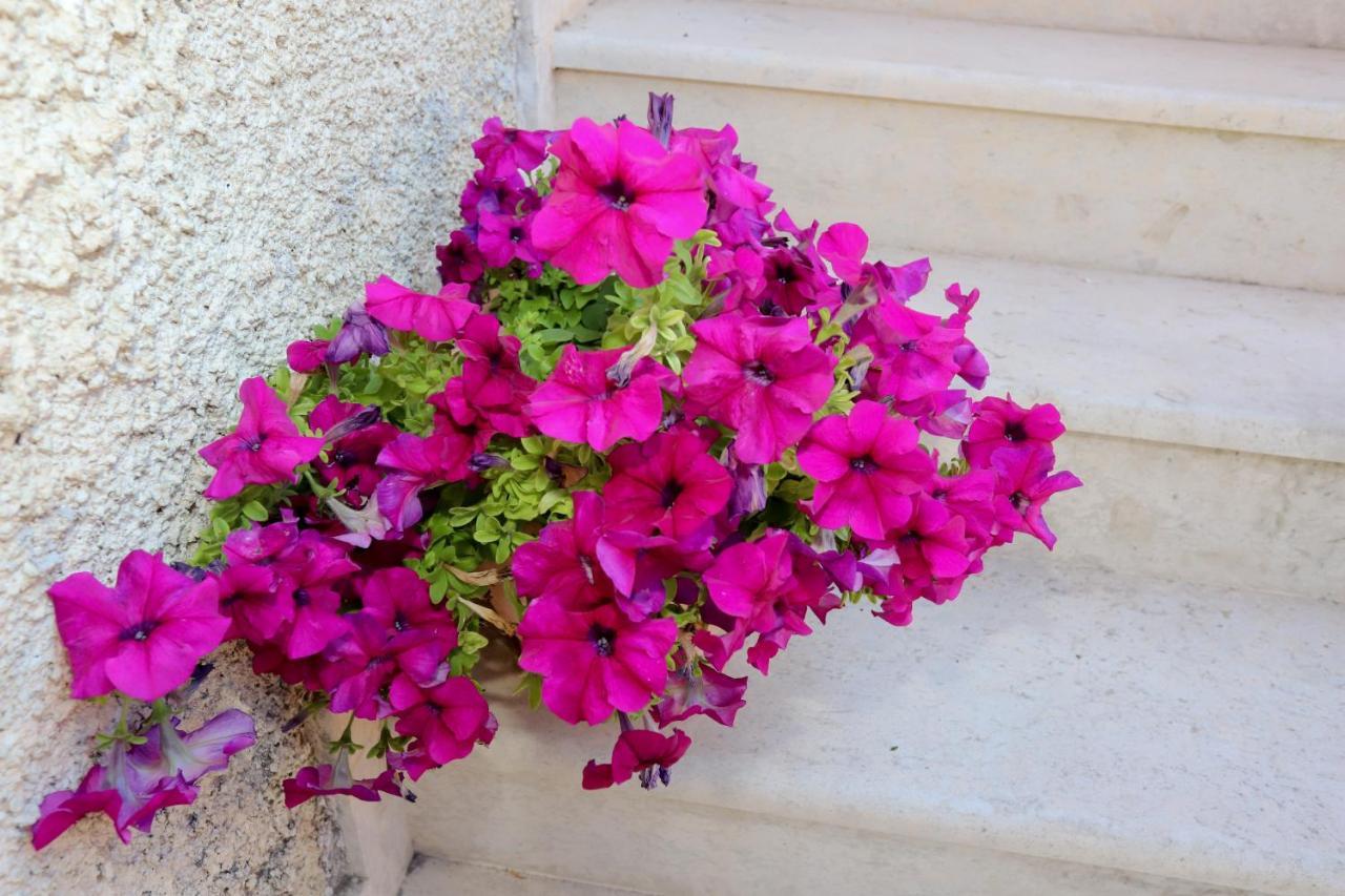 Alexis & Loula Village House Arkadades Εξωτερικό φωτογραφία