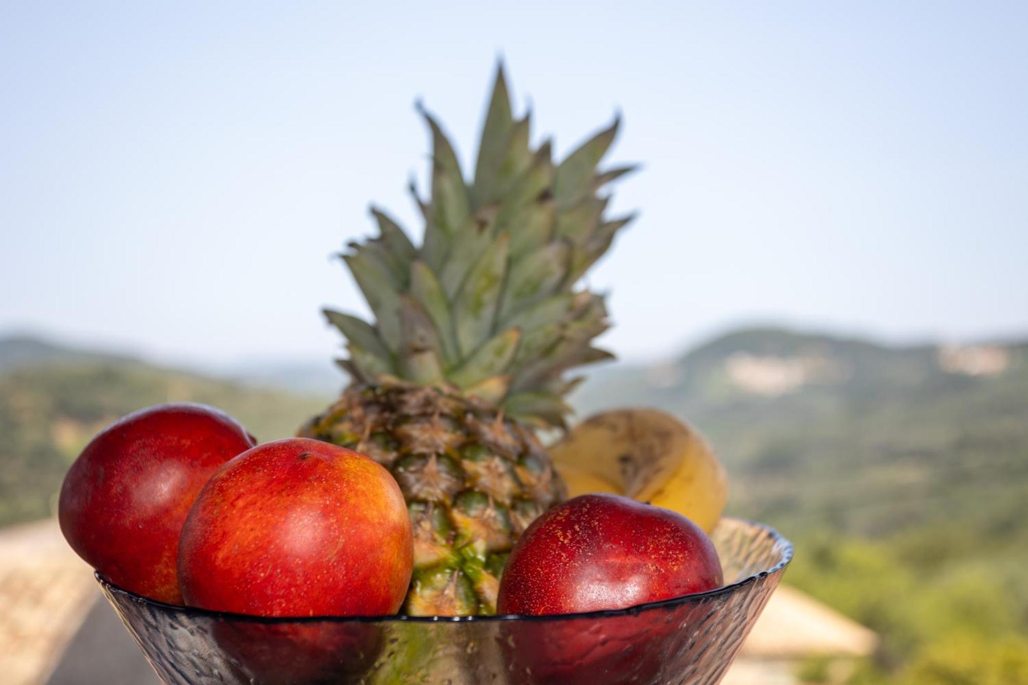 Alexis & Loula Village House Arkadades Εξωτερικό φωτογραφία